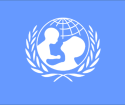 humanitarian and compassionate application