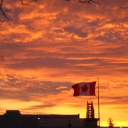 Should I hire an immigration lawyer in 2019