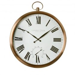 investor visa delayed