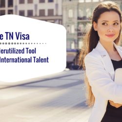 TN Visa