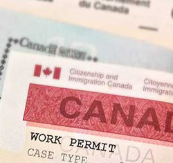 Successful Open Work Permits