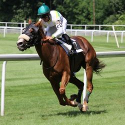 Kentucky Derby Immigrants