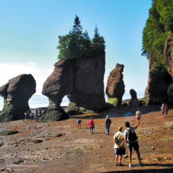 Immigrants live in New Brunswick