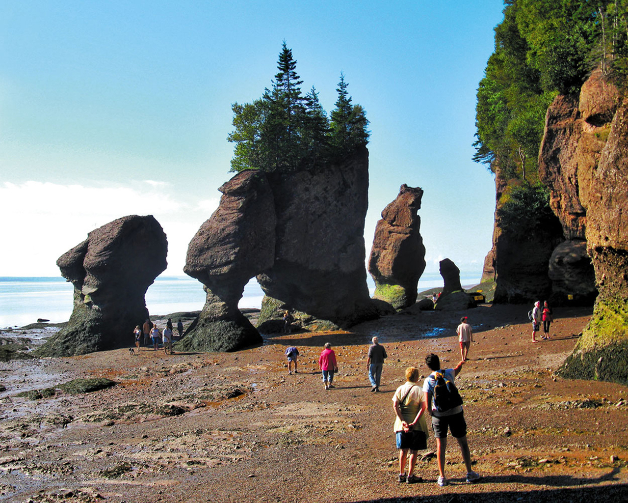 Immigrants live in New Brunswick