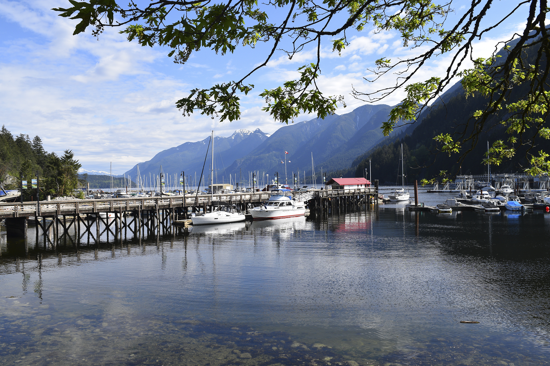 West Vancouver Immigrants Newcomers