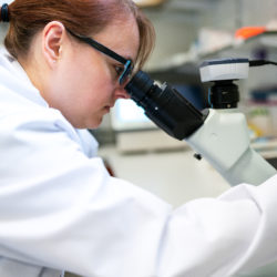 scientific technician