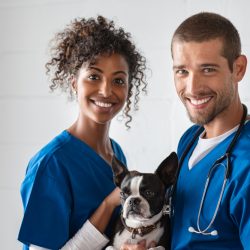 Veterinarian Immigration to Canada