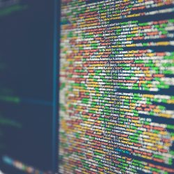 IT Manager Immigration to the US