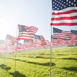 Refugee Green Card Aslyee Green Card