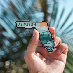 Move from Canada to Florida